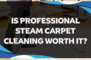 professional steam carpet cleaning cost