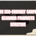 eco-friendly carpet cleaning services