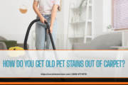 pet stain carpet cleaning near me