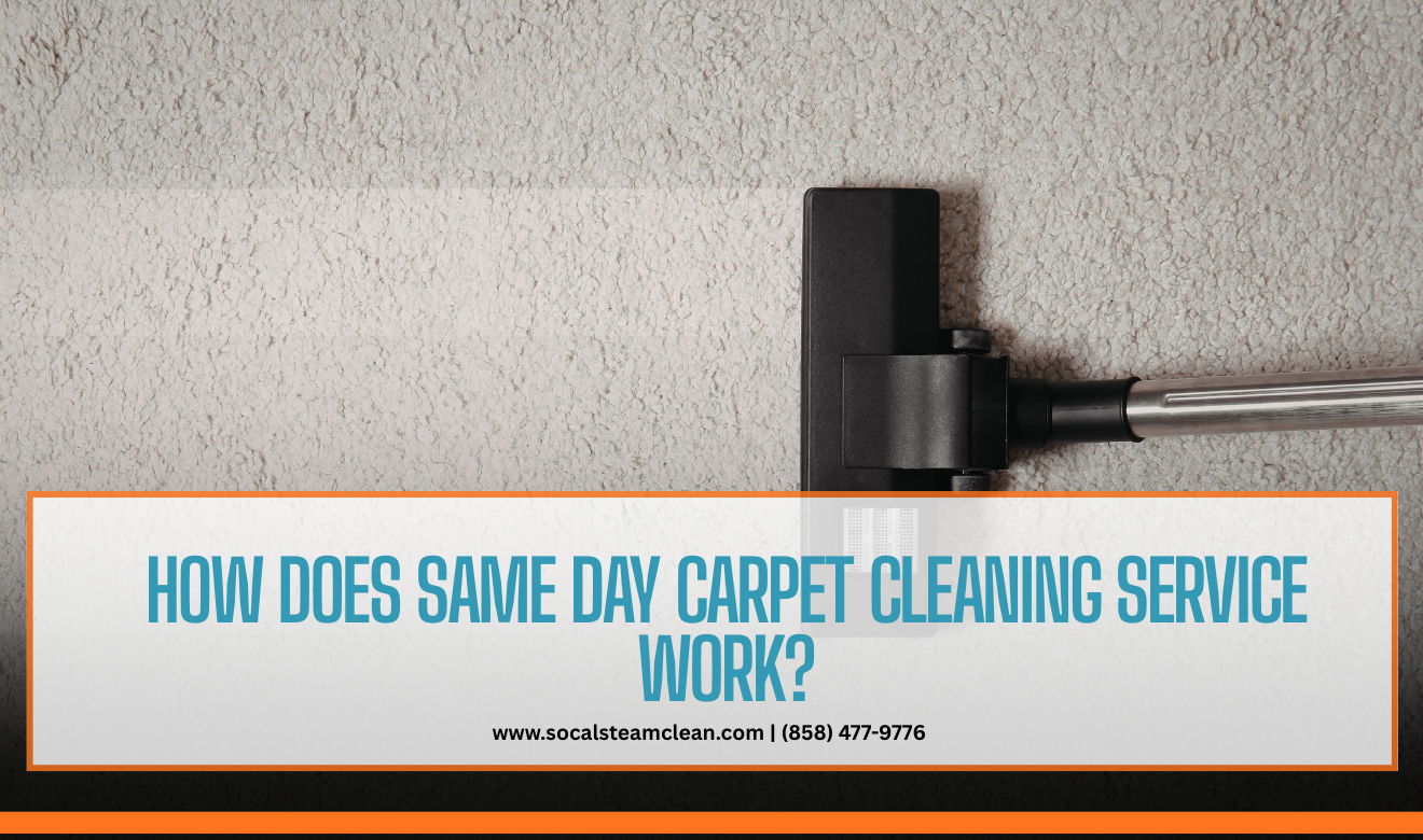 same day carpet cleaning service