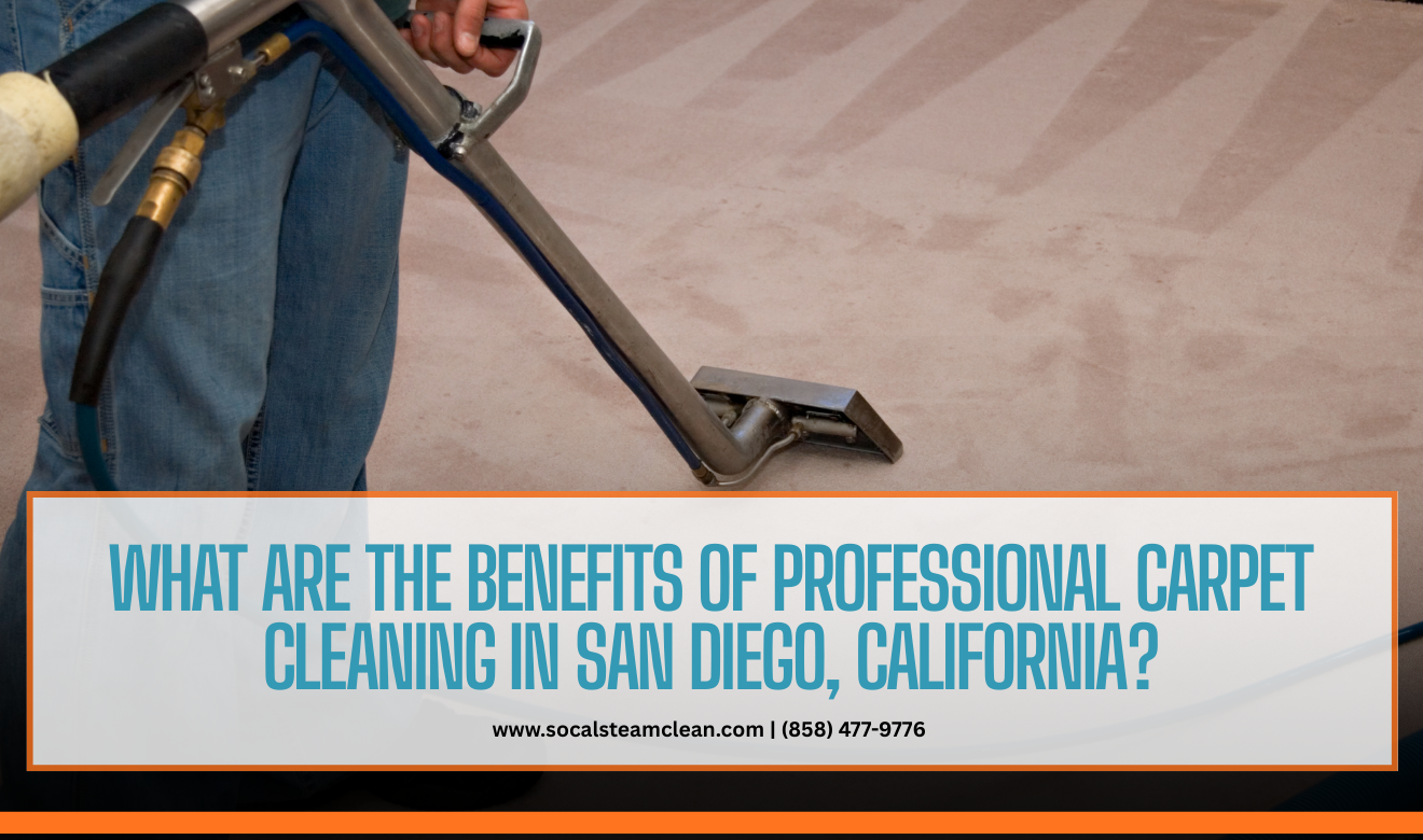 benefits of professional carpet cleaning San Diego