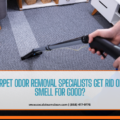 carpet odor removal specialists