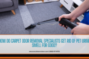 carpet odor removal specialists