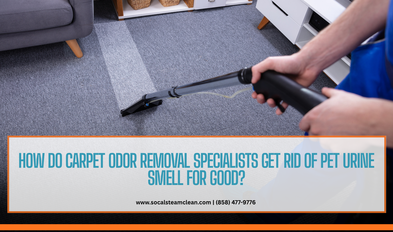 carpet odor removal specialists