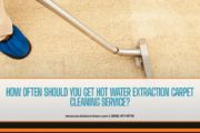 hot water extraction carpet cleaning service