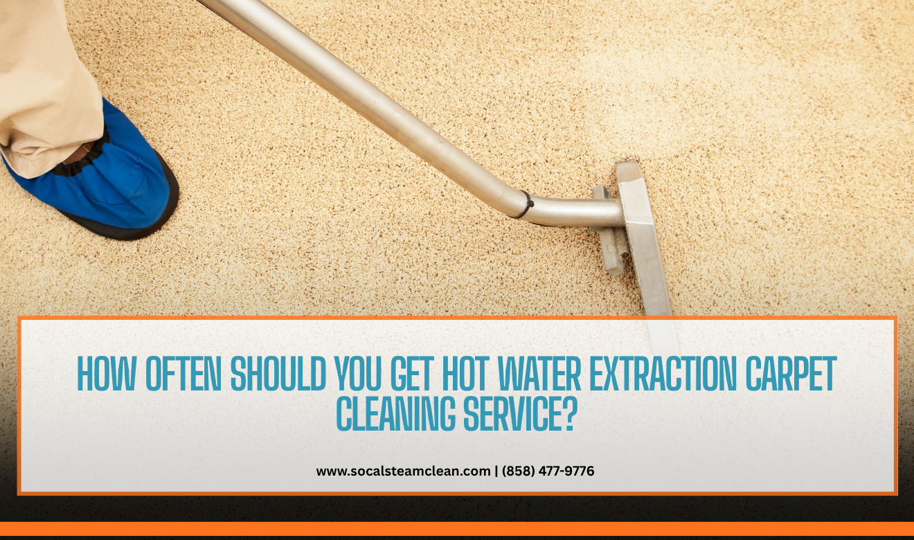 hot water extraction carpet cleaning service