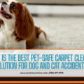 safe carpet cleaning solutions for pets