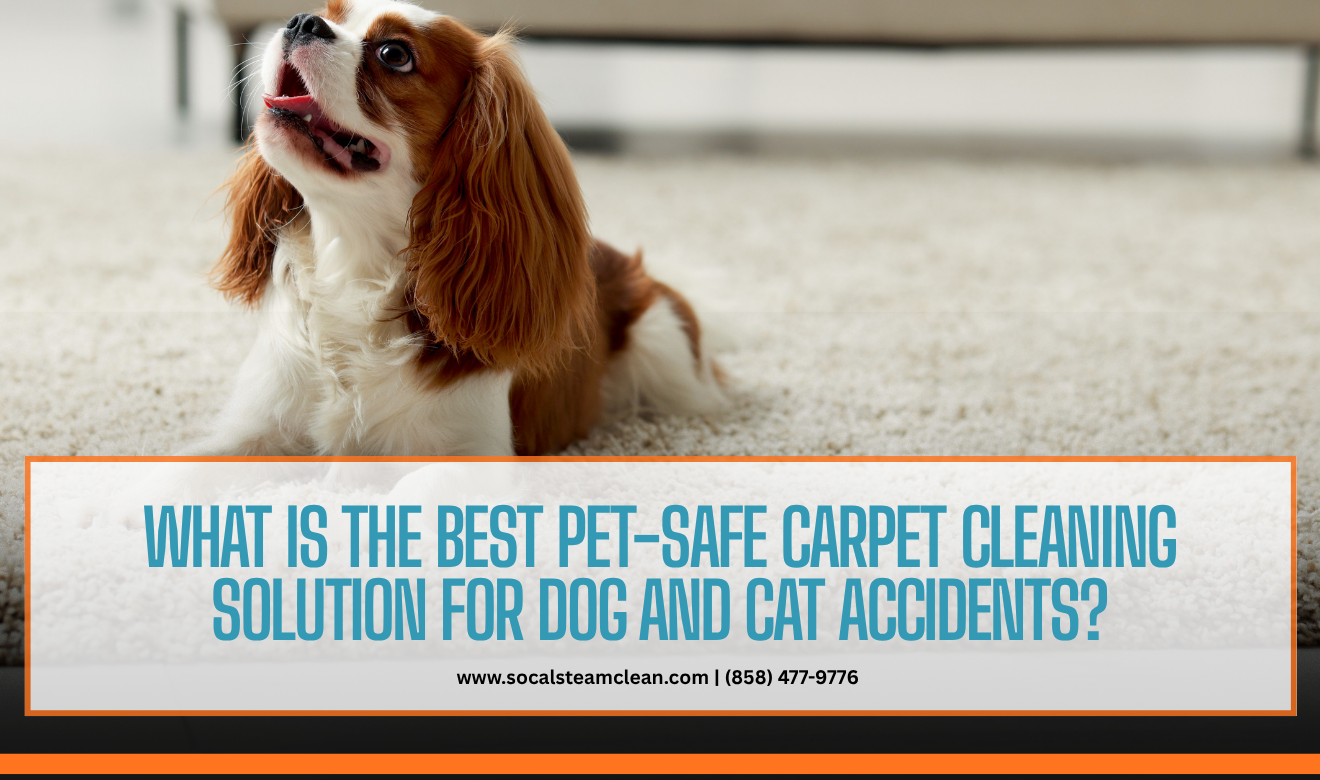 safe carpet cleaning solutions for pets