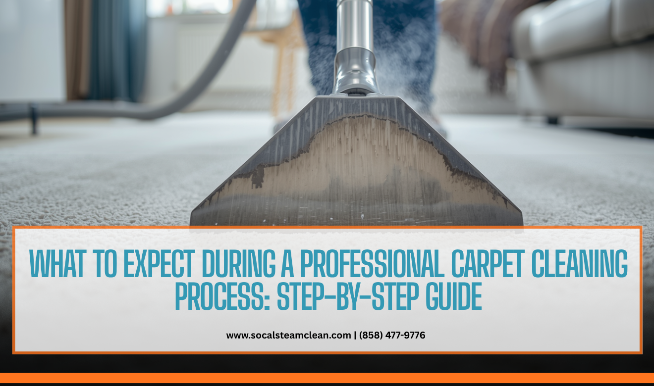 what to expect during carpet cleaning process