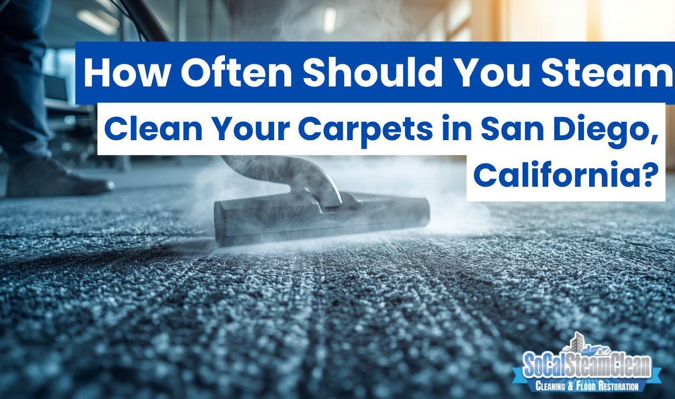 affordable carpet steam cleaning San Diego