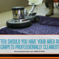 area rug and carpet cleaning experts