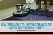 area rug and carpet cleaning experts
