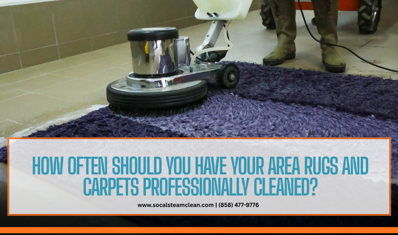 area rug and carpet cleaning experts