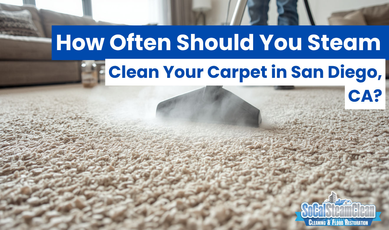 carpet steam cleaning near me San Diego