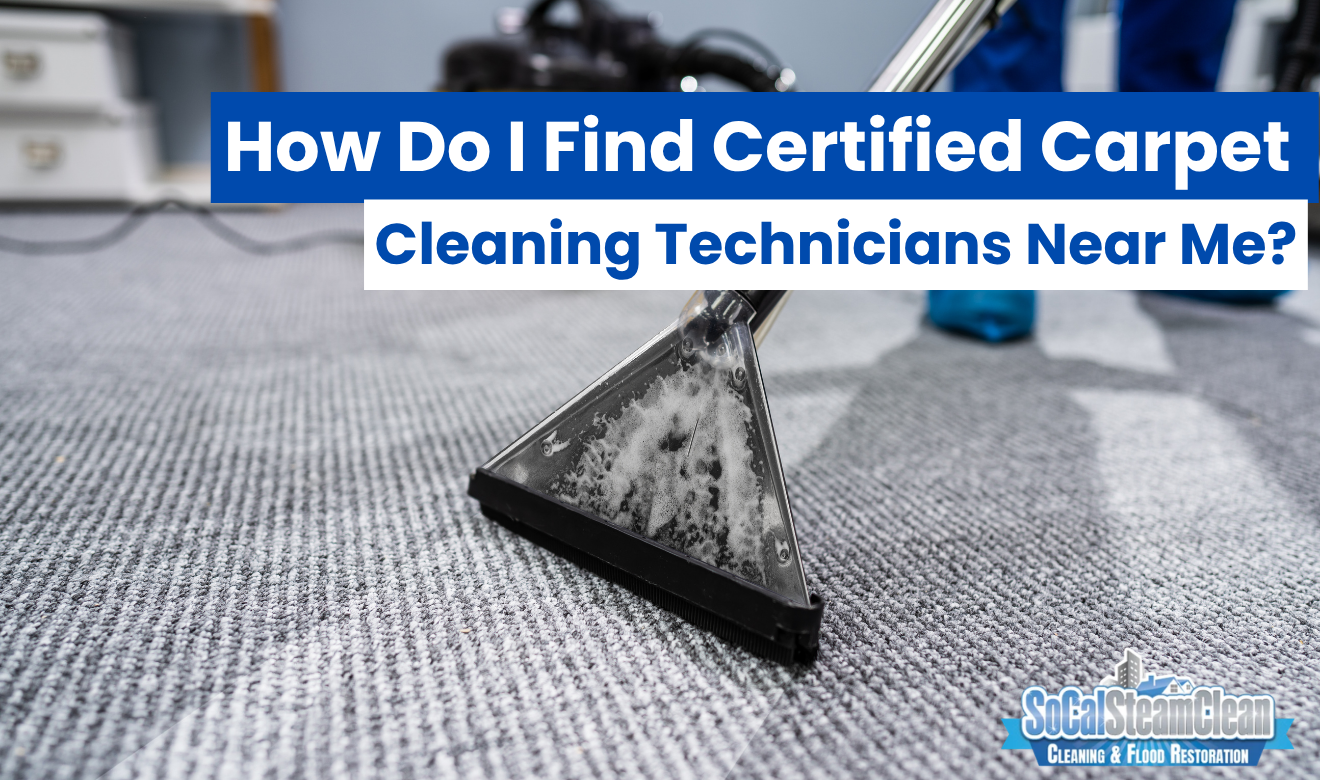 certified carpet cleaning technicians near me