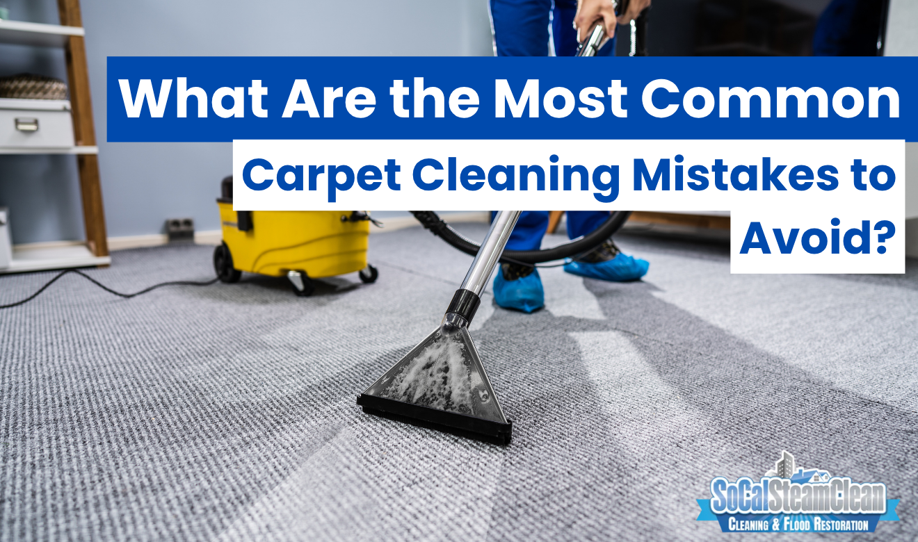 common carpet cleaning mistakes to avoid