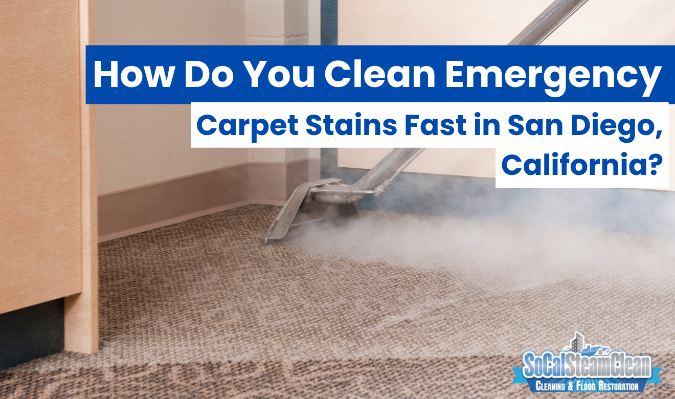emergency carpet cleaning San Diego