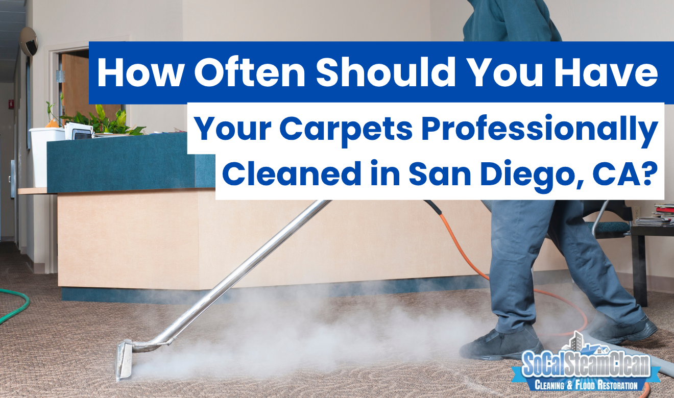 local carpet cleaning experts San Diego