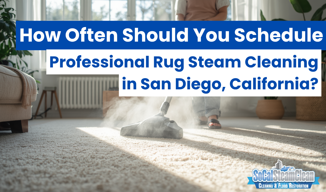 professional rug steam cleaning San Diego