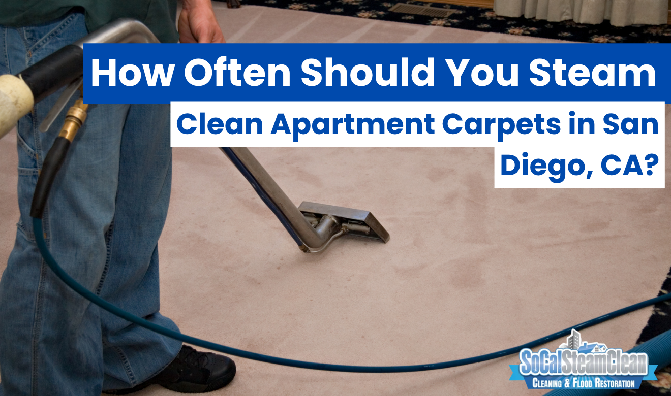 steam carpet cleaning for apartments San Diego