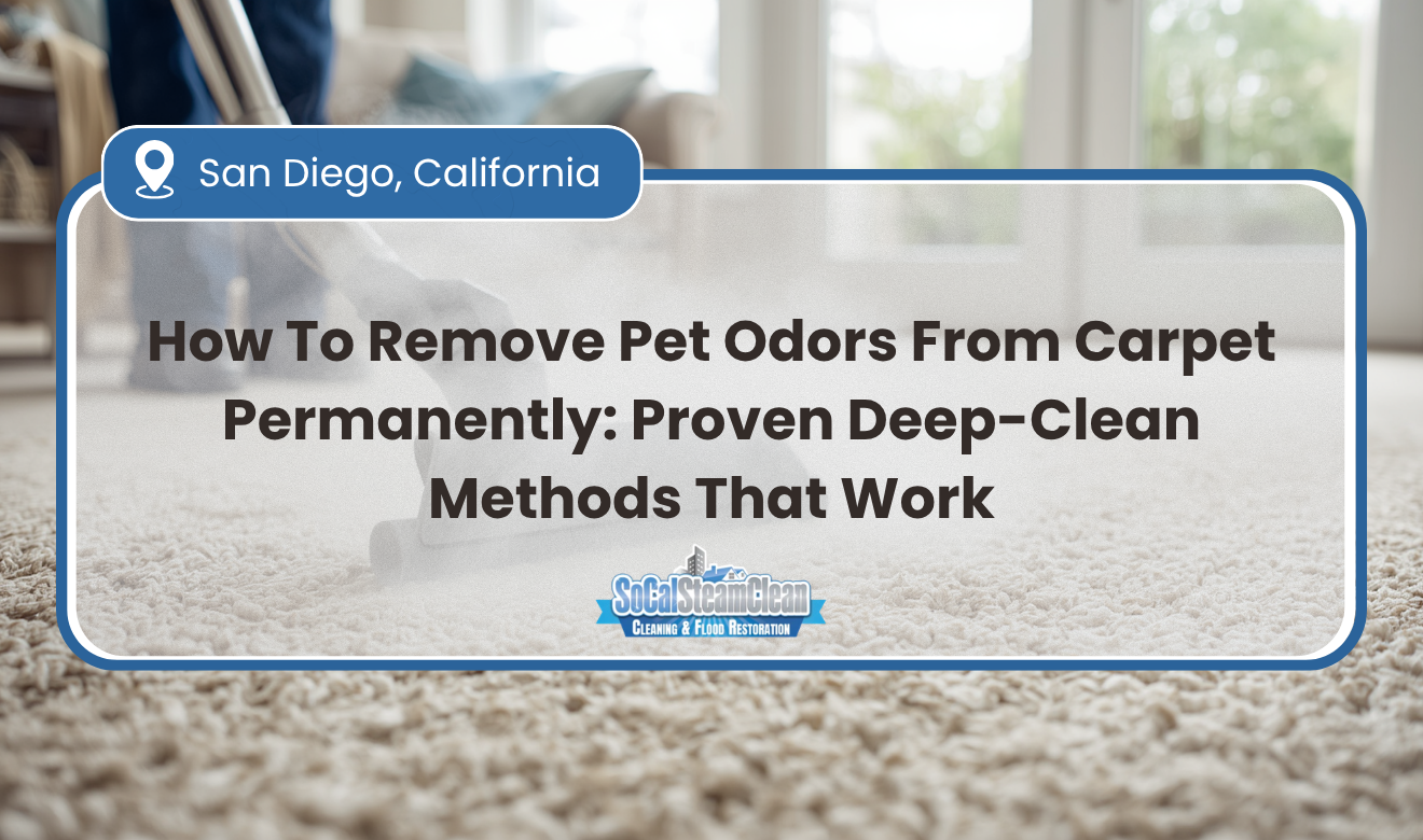 How To Remove Pet Odors From Carpet Permanently