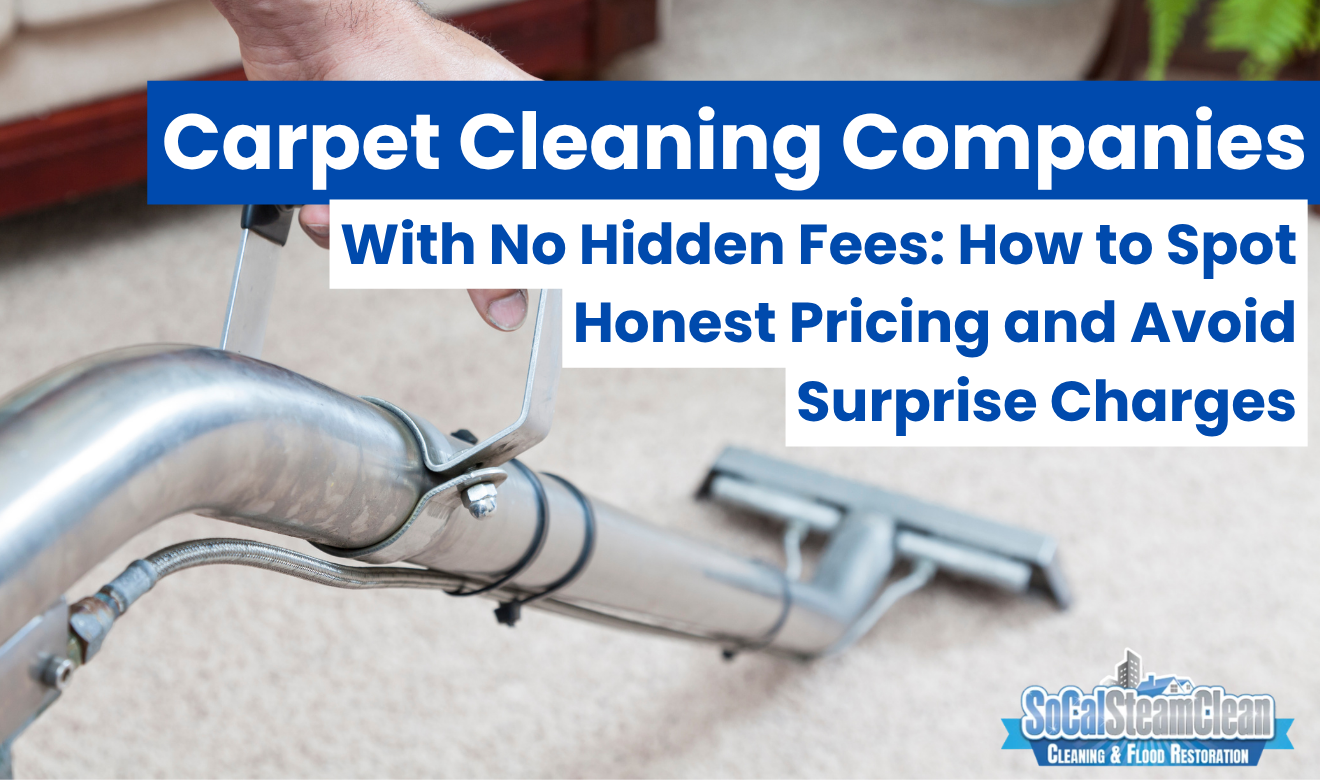 carpet cleaning companies with no hidden fees