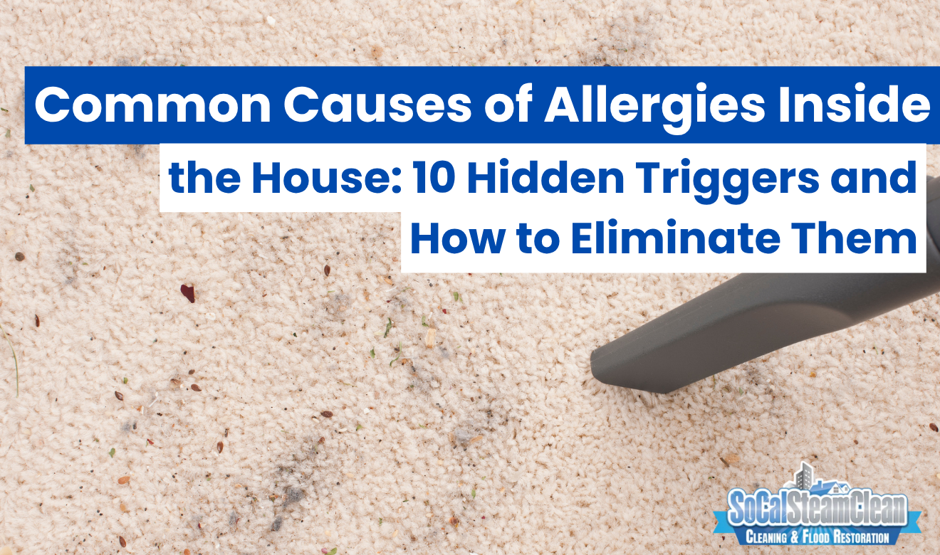 common causes of allergies inside the house