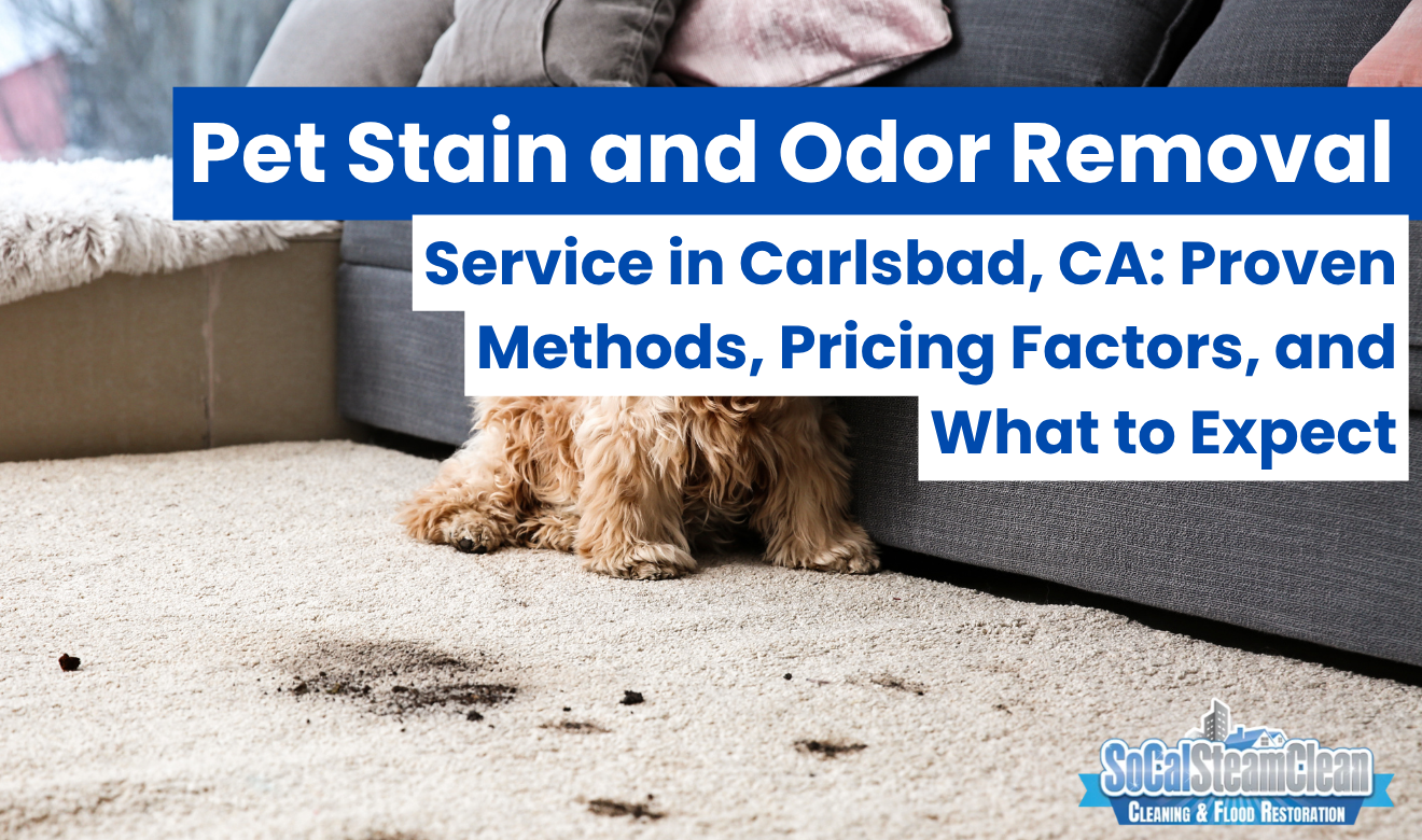 pet stain and odor removal service Carlsbad