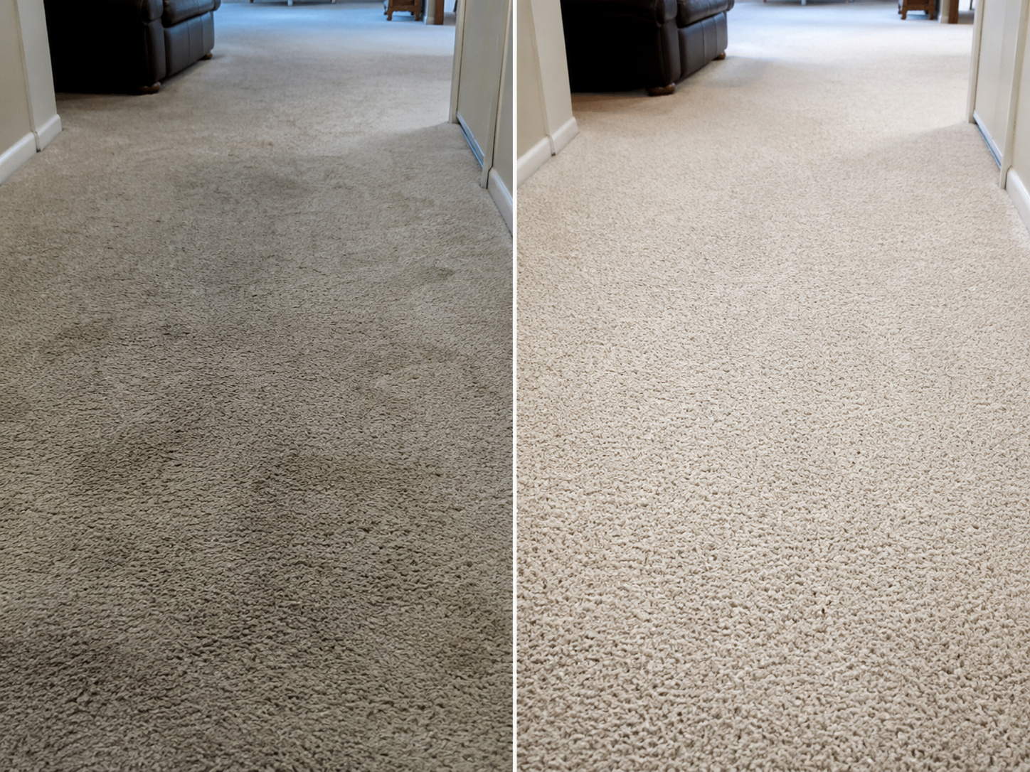 Before-and-after side-by-side of a heavily soiled carpet section next to the same carpet after professional steam cleaning