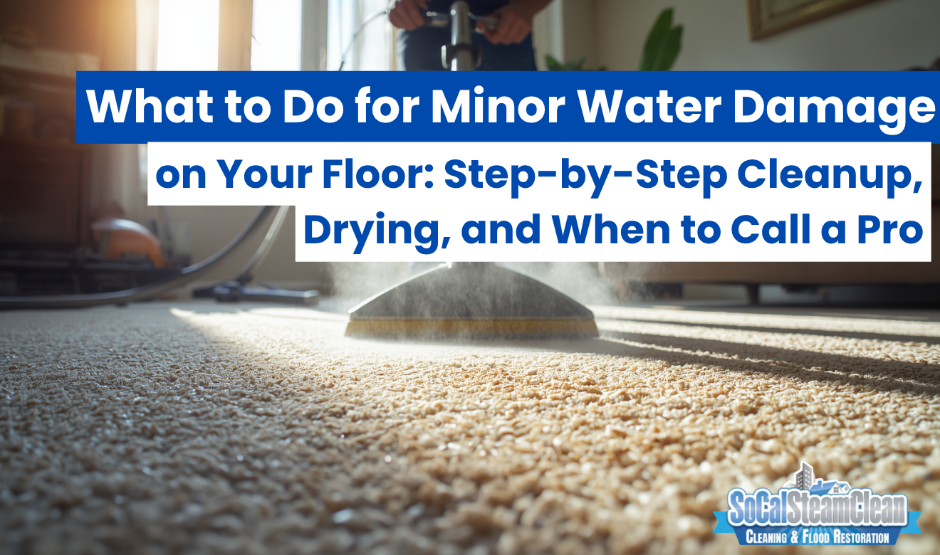 what to do for minor water damage on floor