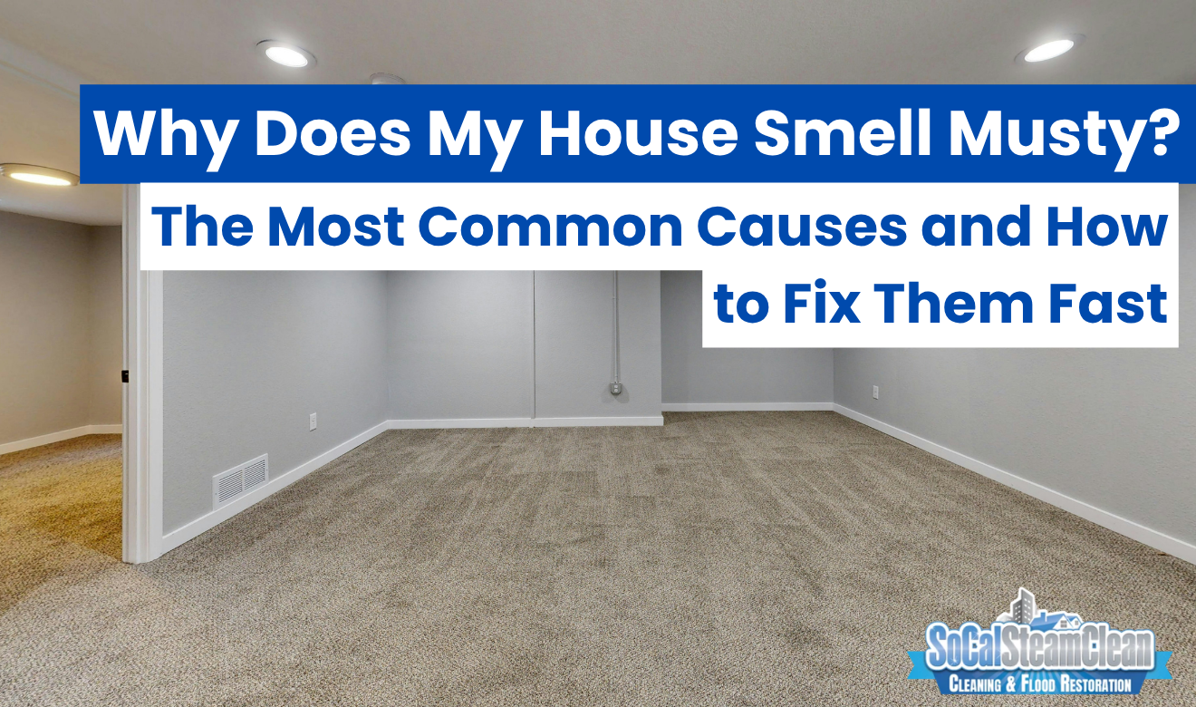 why does my house smell musty