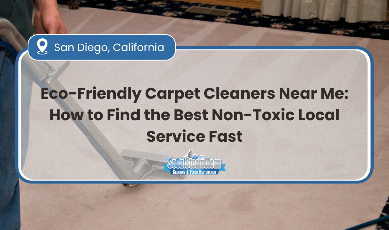 eco friendly carpet cleaners near me