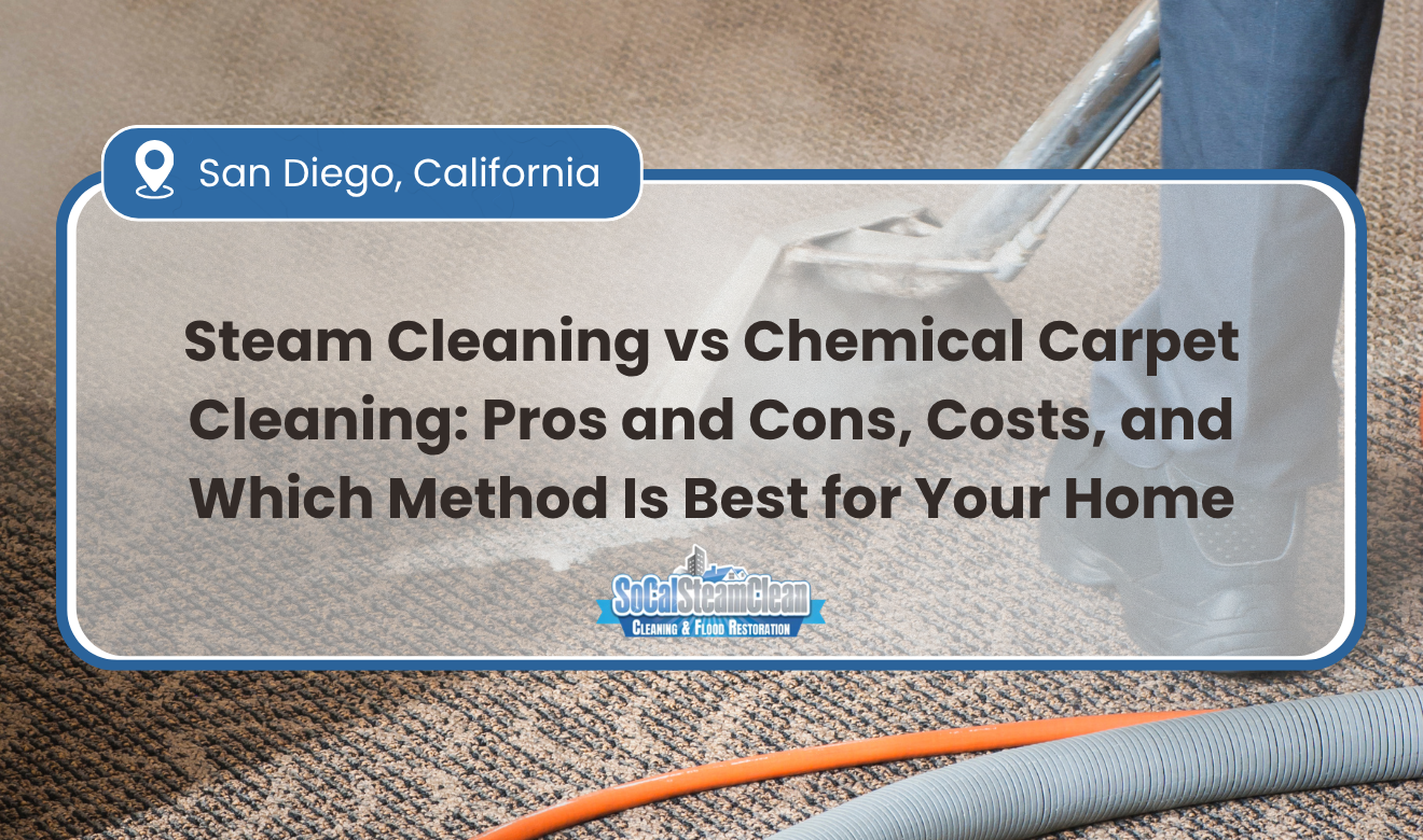 steam cleaning vs chemical carpet cleaning pros and cons