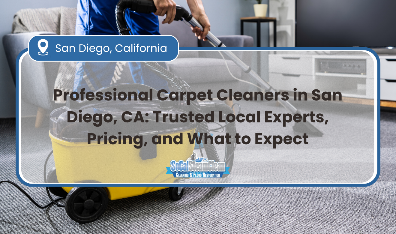 Professional Carpet Cleaners San Diego
