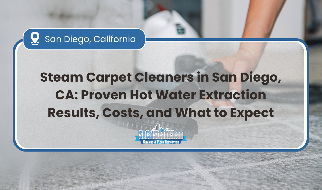 Steam Carpet Cleaners San Diego